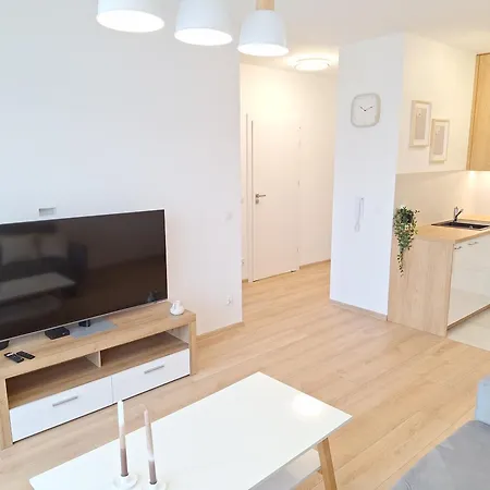 Boho - Garaz Lub Prywatny Parking, Blisko Szpitale, F-ra Vat Apartment *
