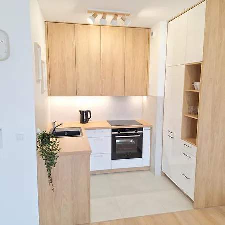 Apartment Boho - Garaz Lub Prywatny Parking, Blisko Szpitale, F-ra Vat *